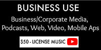 Business Use License